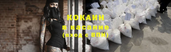 гидропоника Каменногорск