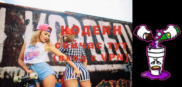 мет Каменка