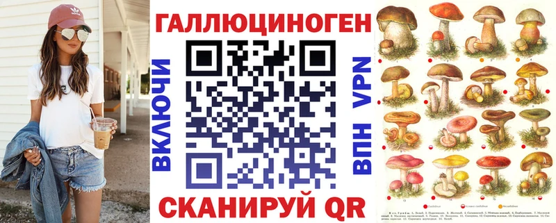 Купить закладки  Курлово  Псилоцибиновые грибы мицелий 
